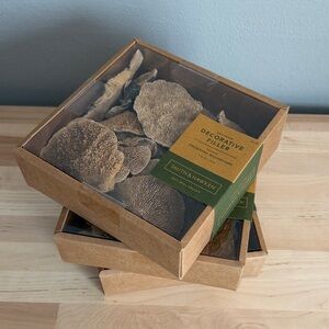 Smith & Hawken Natural Brown Decorative Filler